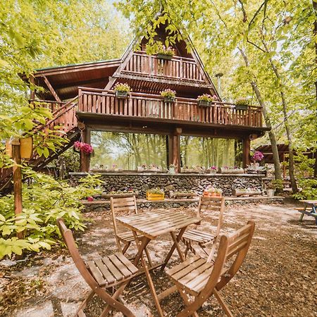Matilde'S Chalet Etna Nature House Николози Экстерьер фото