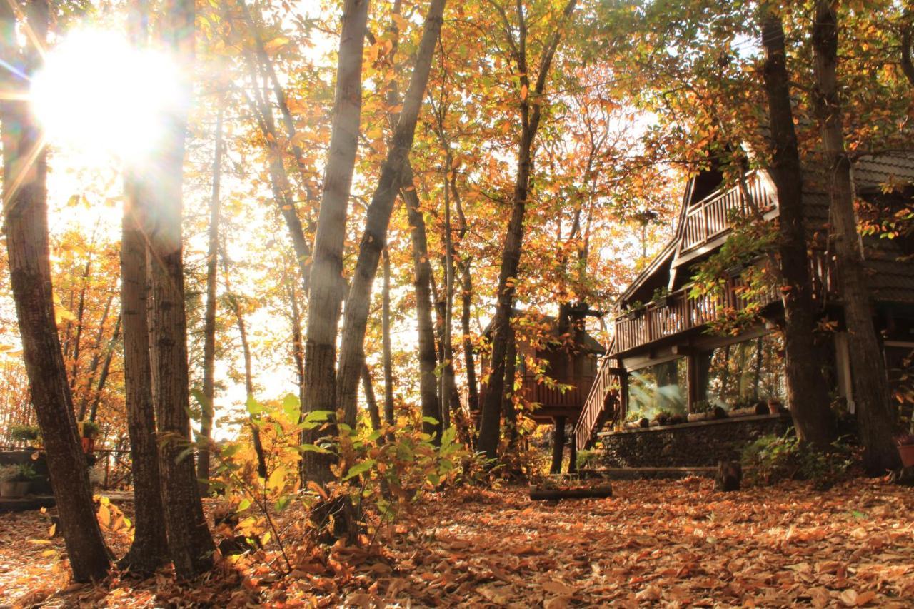 Matilde'S Chalet Etna Nature House Николози Экстерьер фото