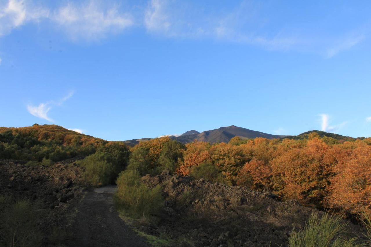 Matilde'S Chalet Etna Nature House Николози Экстерьер фото