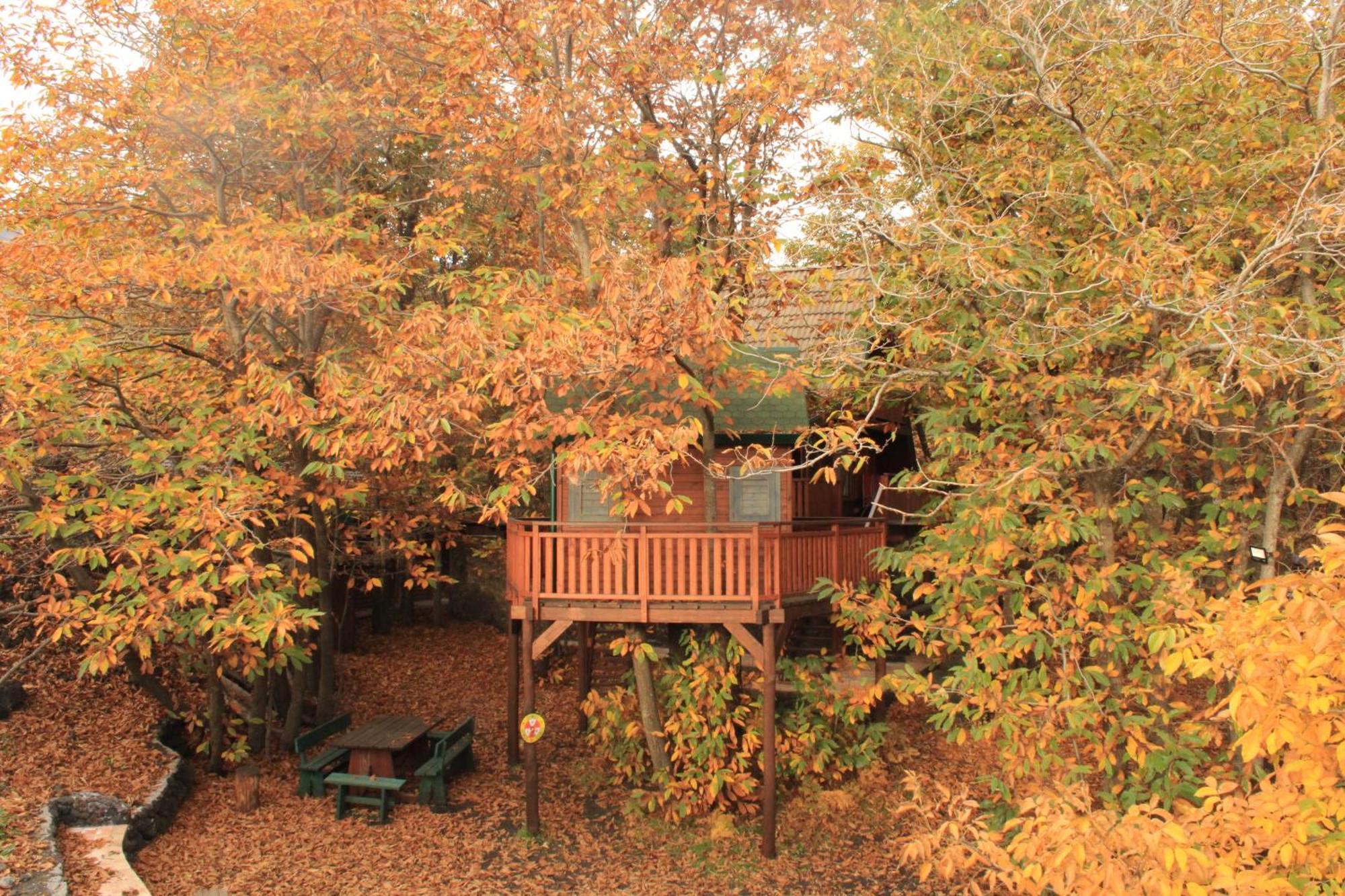 Matilde'S Chalet Etna Nature House Николози Экстерьер фото