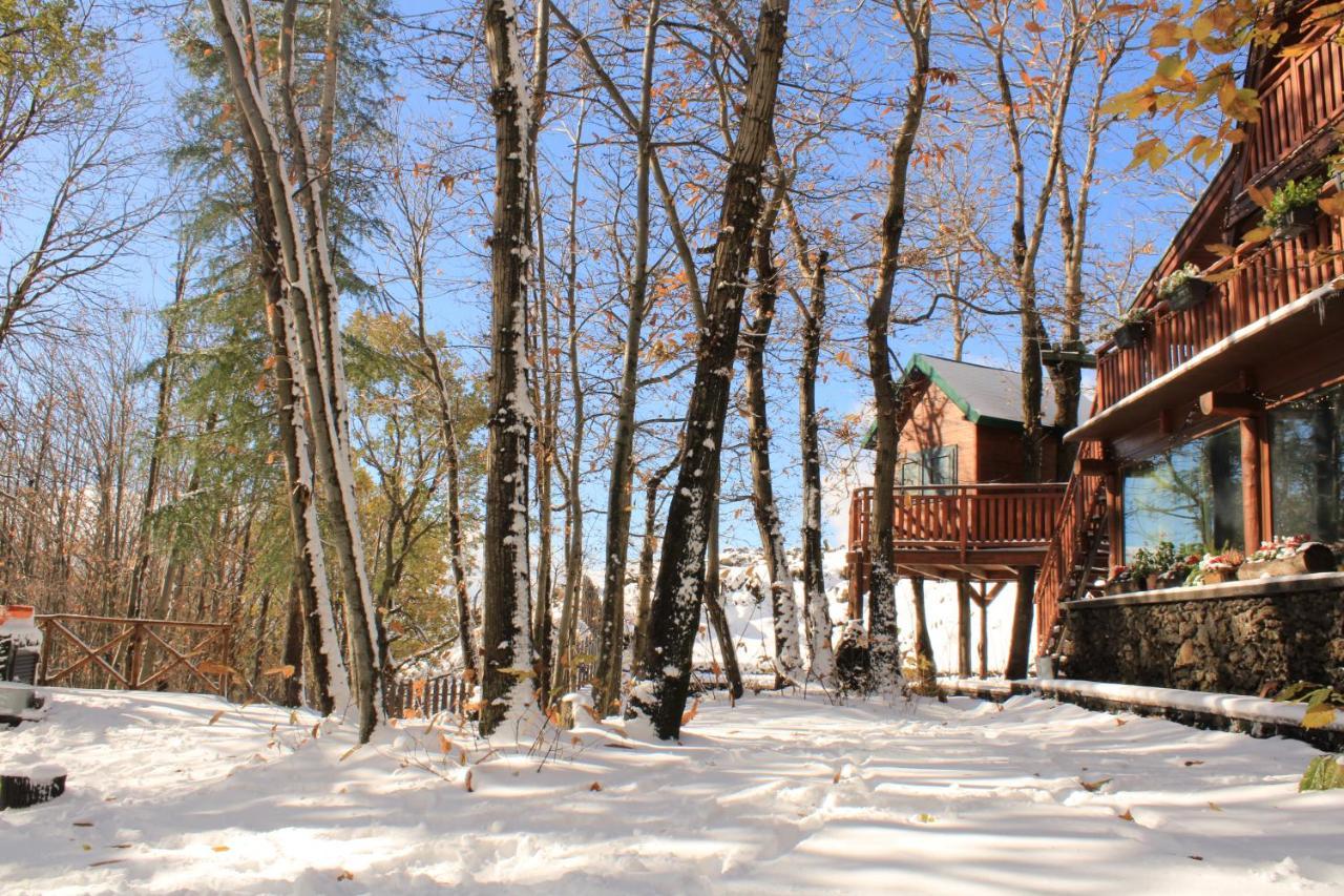 Matilde'S Chalet Etna Nature House Николози Экстерьер фото