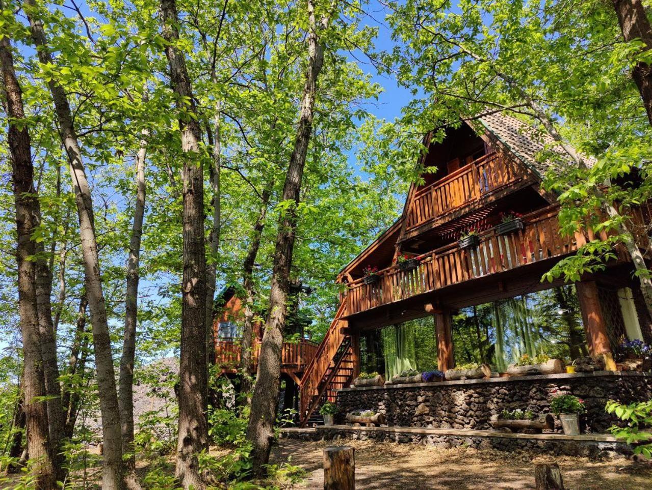 Matilde'S Chalet Etna Nature House Николози Экстерьер фото