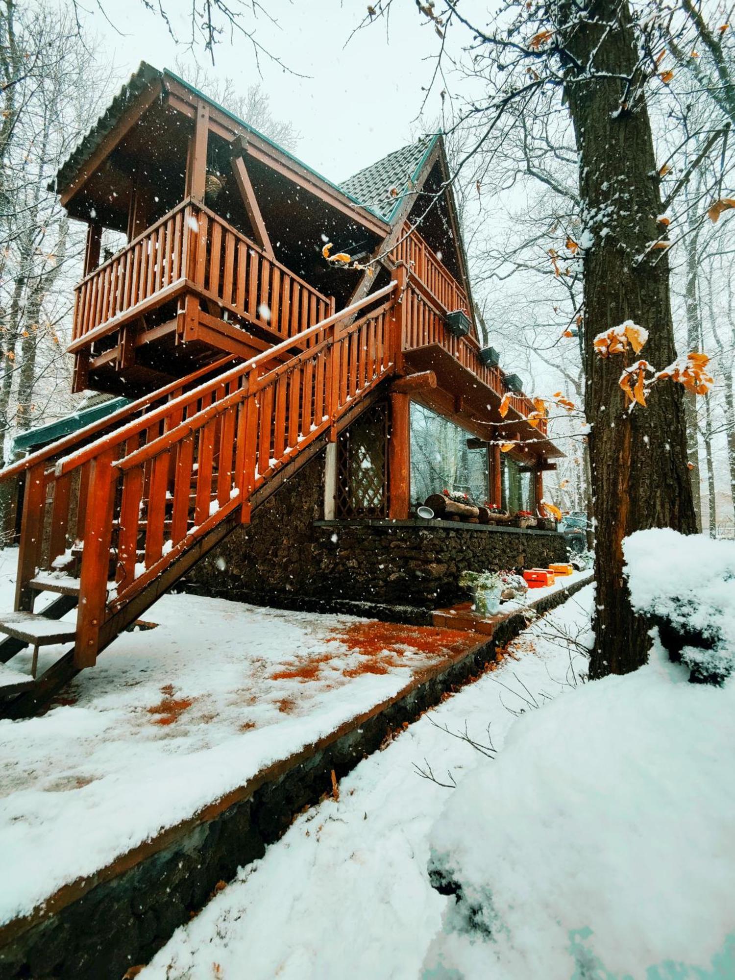 Matilde'S Chalet Etna Nature House Николози Экстерьер фото